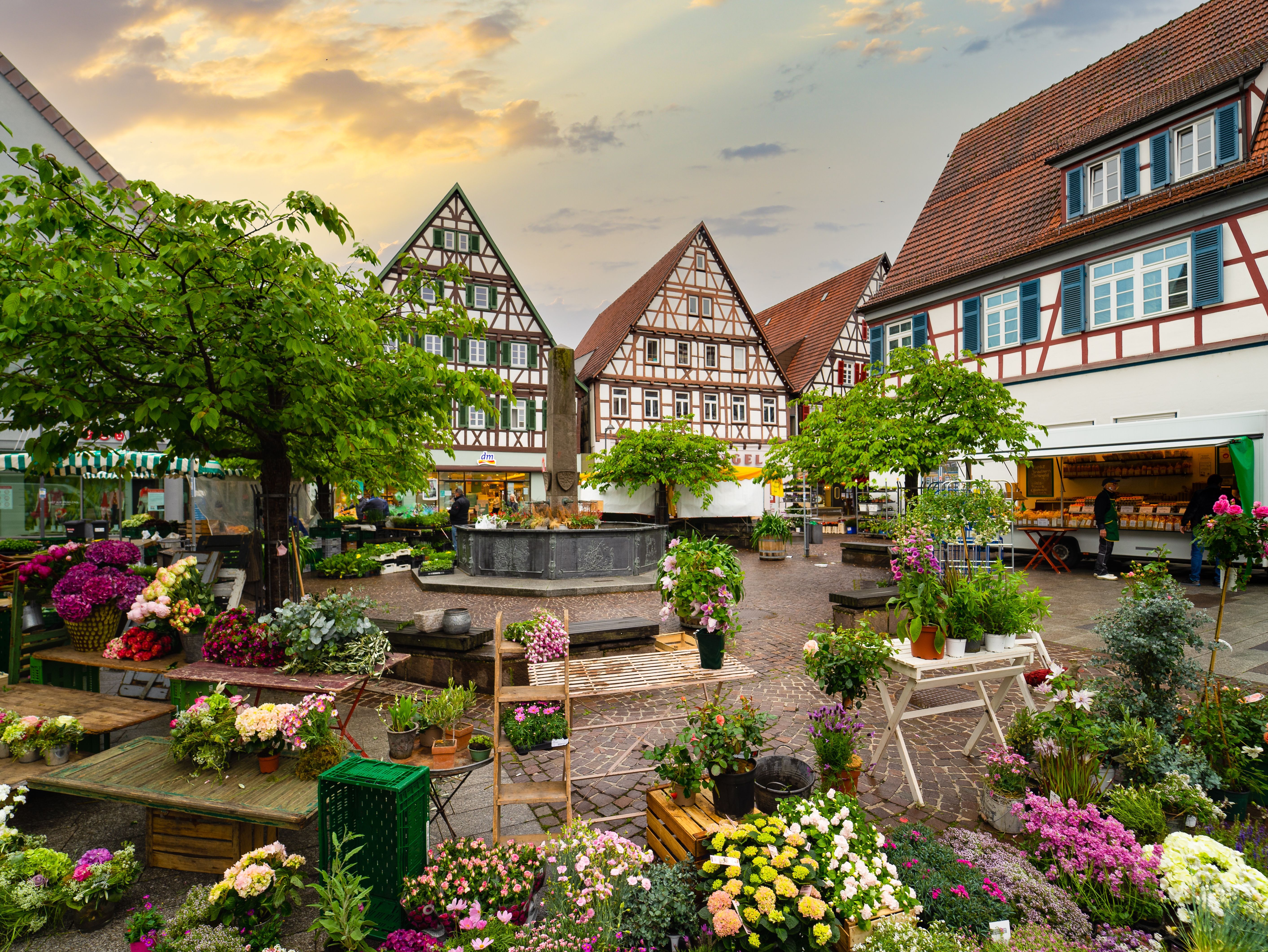 Hohenheimer CareerDays | Universität Hohenheim (Karrieremesse)